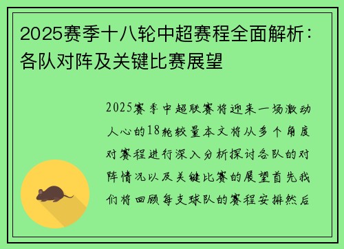 2025赛季十八轮中超赛程全面解析：各队对阵及关键比赛展望